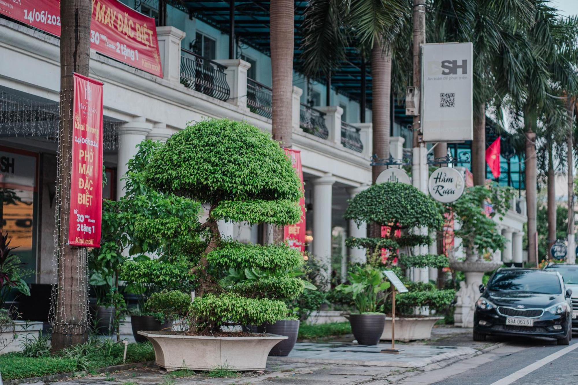 May Plaza Hotel Thái Nguyên Exterior foto